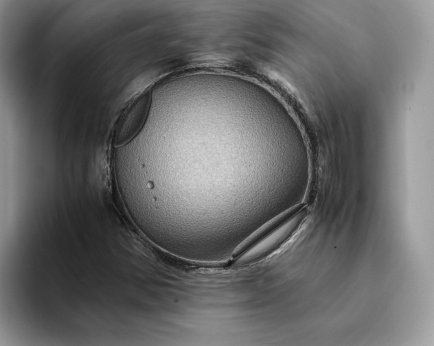X0000094181354200711091135