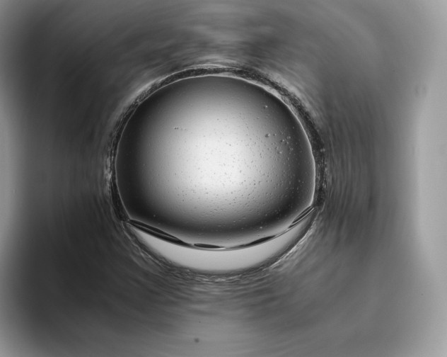 X0000094181355200711091135