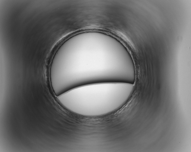 X0000094181356200711091135