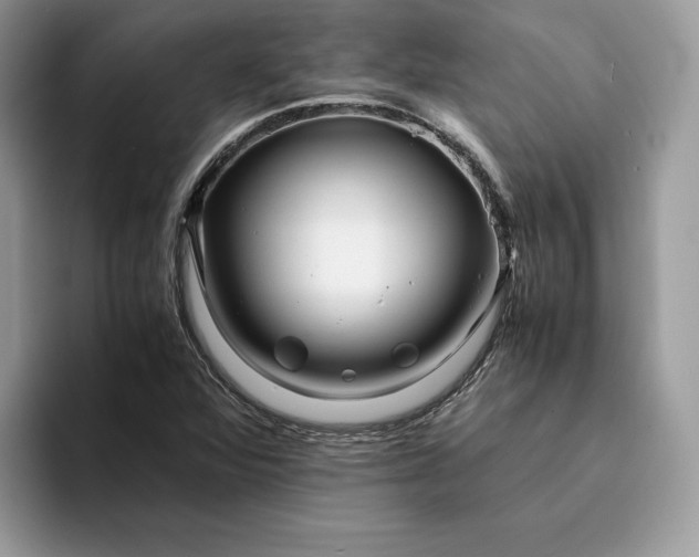 X0000094181360200711091135
