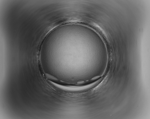X0000094181361200711091135