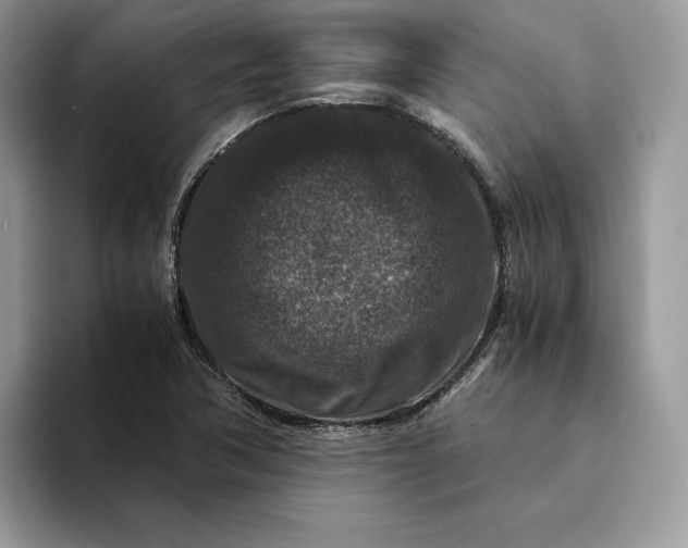 X0000094181362200711091135