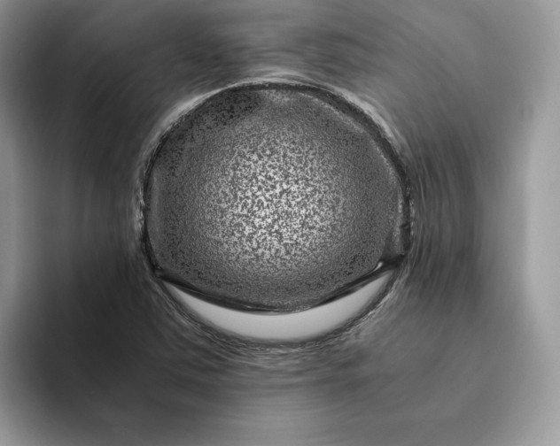 X0000094181363200711091135