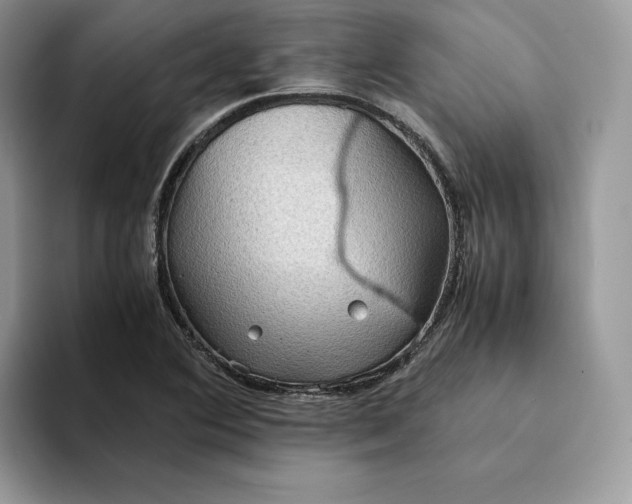 X0000094181364200711091135