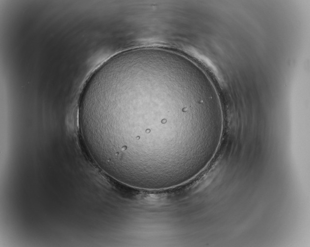 X0000094181365200711091135