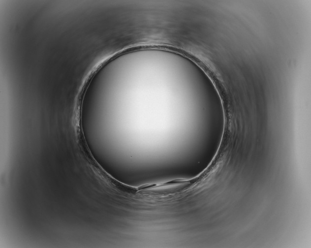 X0000094181366200711091135