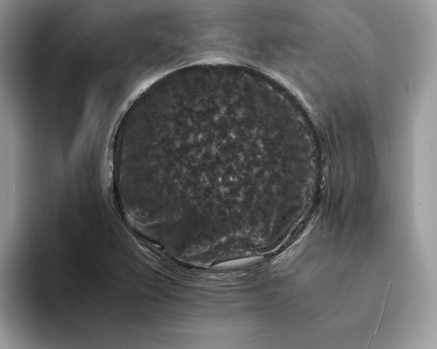 X0000094181367200711091135