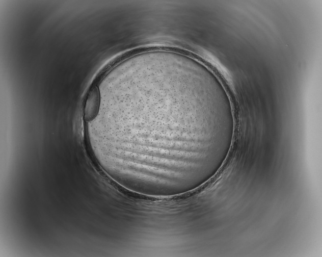X0000094181368200711091135