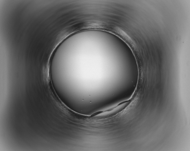 X0000094181370200711091135