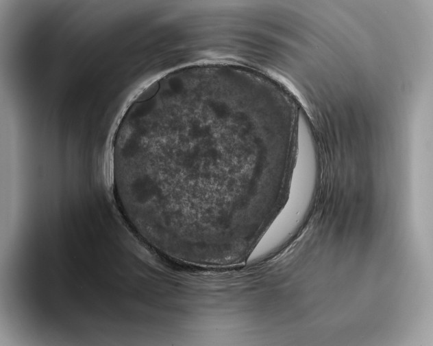 X0000094181371200711091135