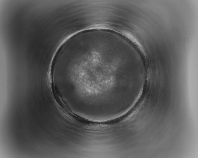 X0000094181372200711091135