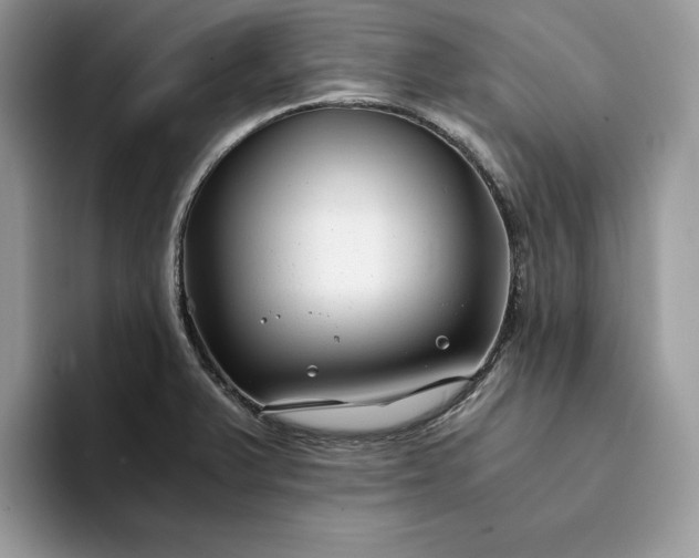 X0000094181375200711091135