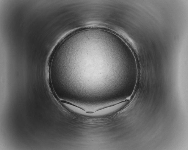 X0000094181376200711091135