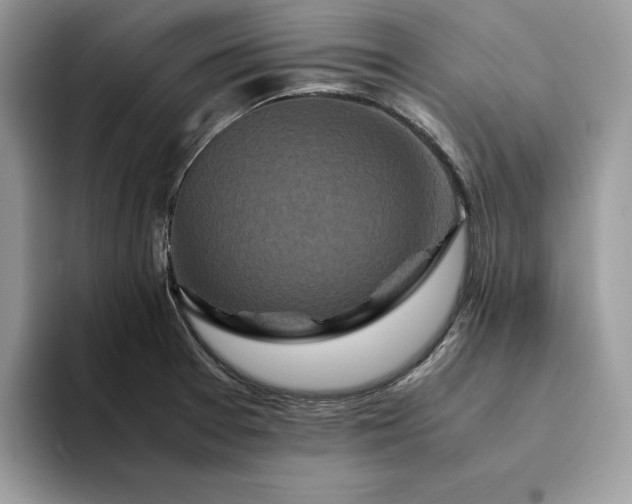 X0000094181377200711091134