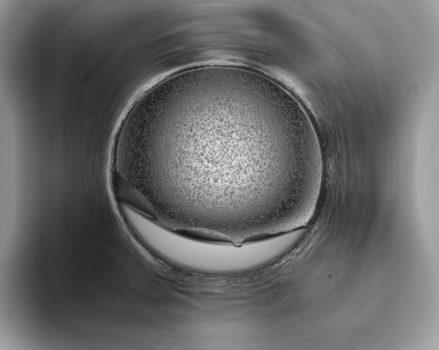 X0000094181379200711091134