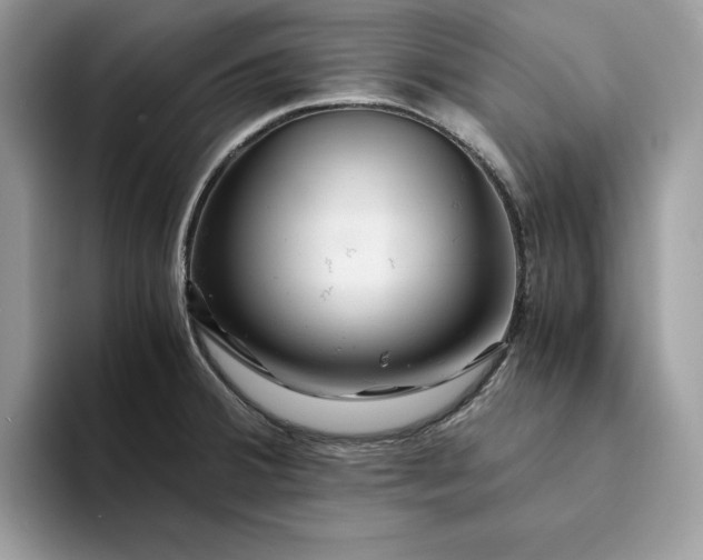 X0000094181380200711091134
