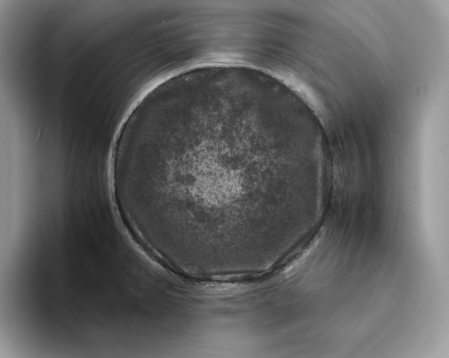 X0000094181382200711091134