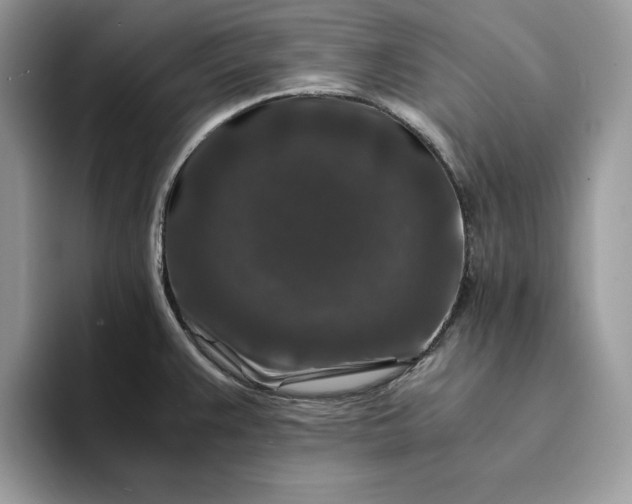 X0000094181383200711091134