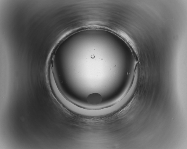X0000094181384200711091134
