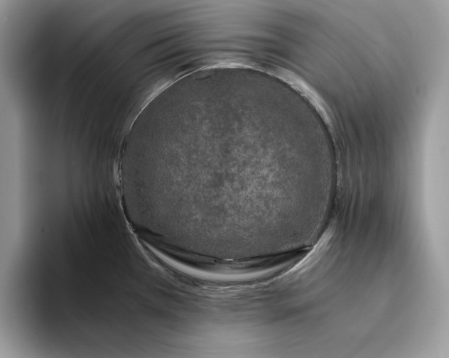 X0000094181385200711091134