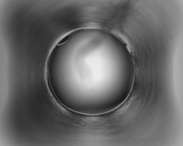 X0000094181387200711091134