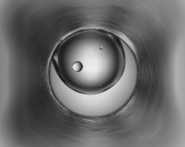X0000094181388200711091134