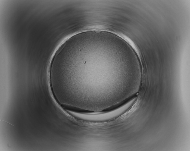 X0000094181389200711091134