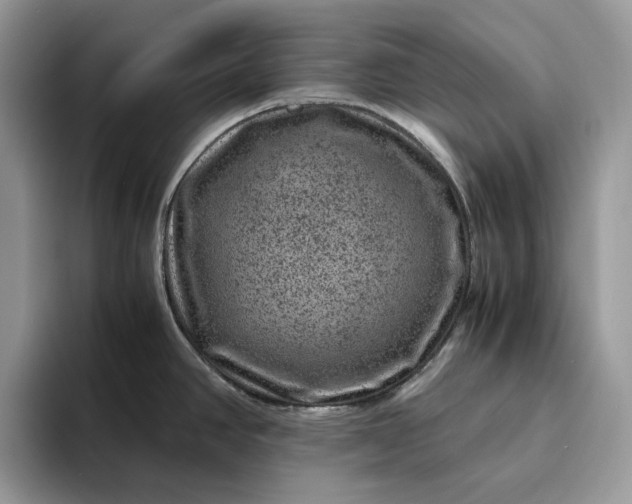 X0000094181390200711091134