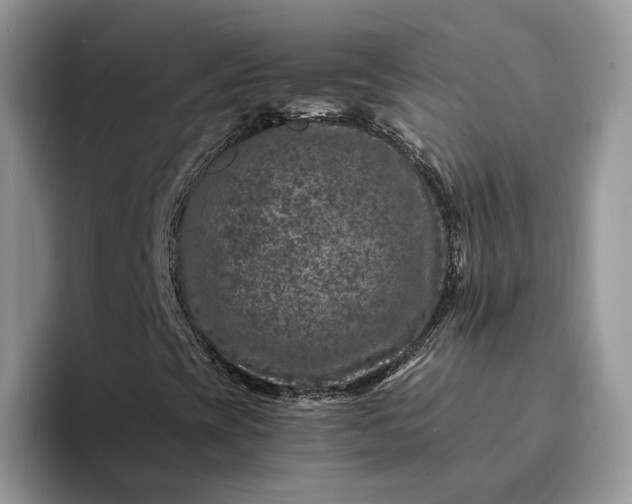 X0000094181393200711091134