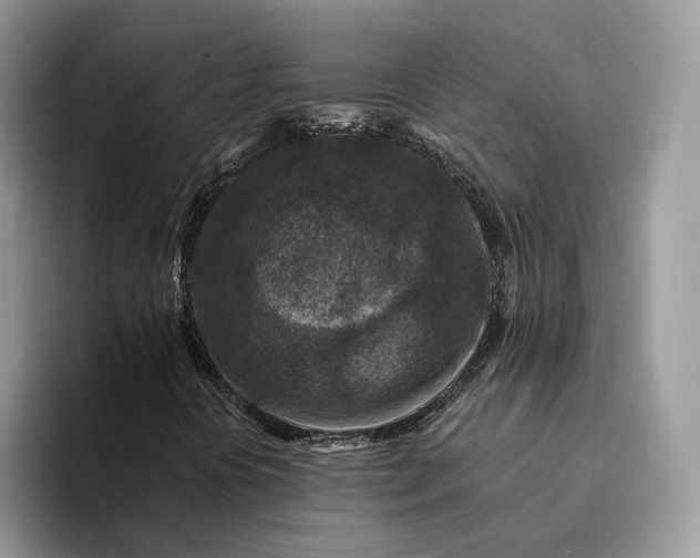 X0000094181394200711091134
