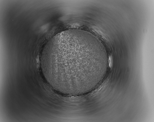 X0000094181395200711091134