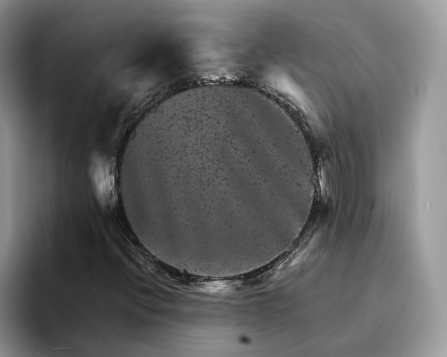 X0000094181396200711091134