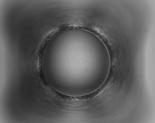 X0000094181398200711091134
