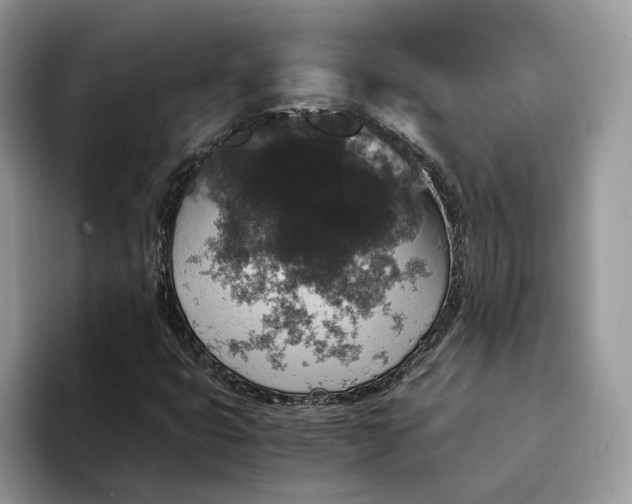 X0000094181399200711091134