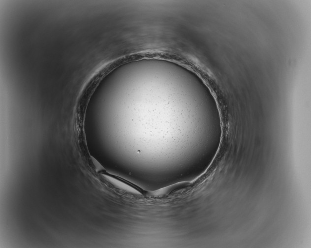 X0000094181400200711091134
