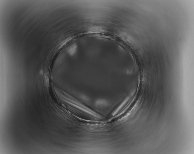 X0000094181401200711091134