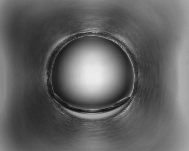 X0000094181406200711091134