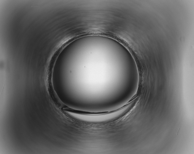 X0000094181410200711091134