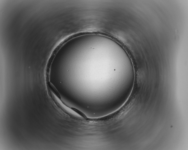 X0000094181412200711091134