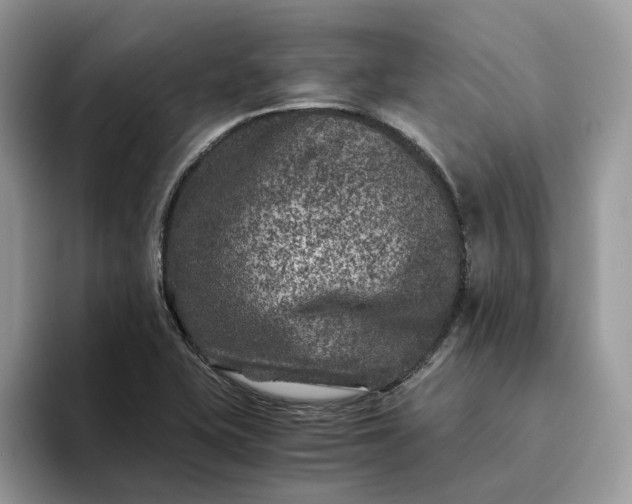 X0000094181415200711091134