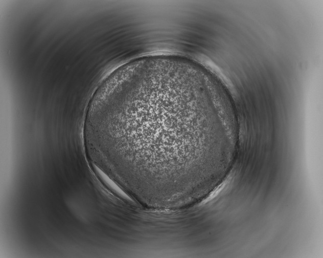 X0000094181417200711091134
