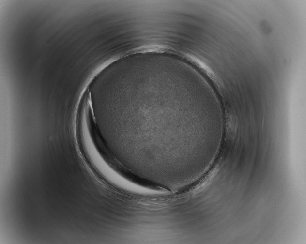 X0000094181418200711091134
