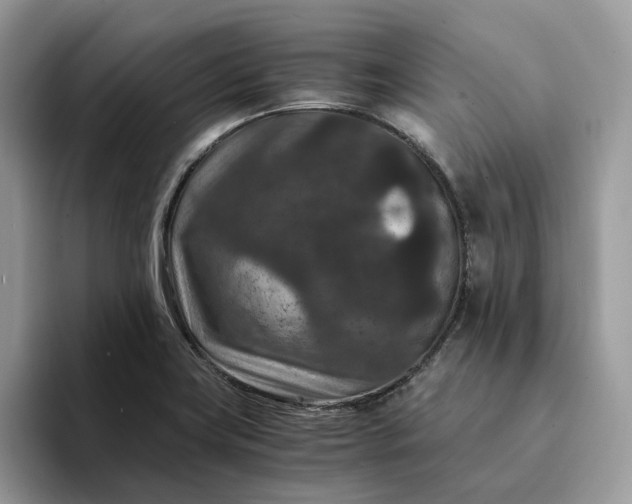 X0000094181419200711091134