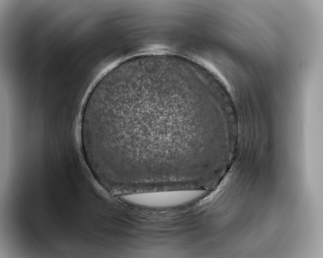 X0000094181421200711091134