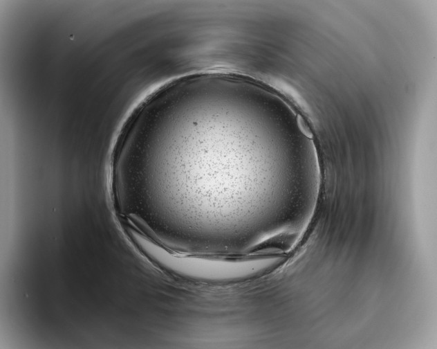 X0000094181424200711091134