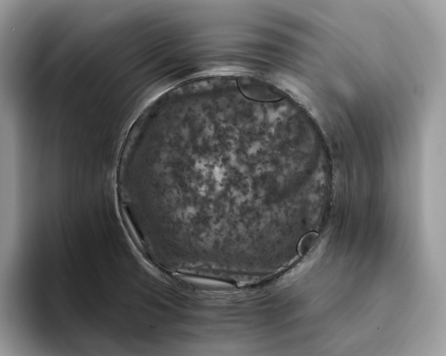 X0000094181425200711091134