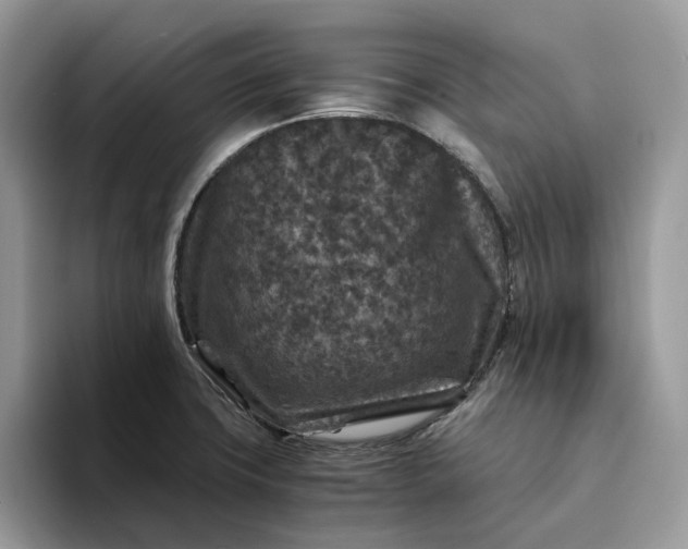 X0000094181427200711091134