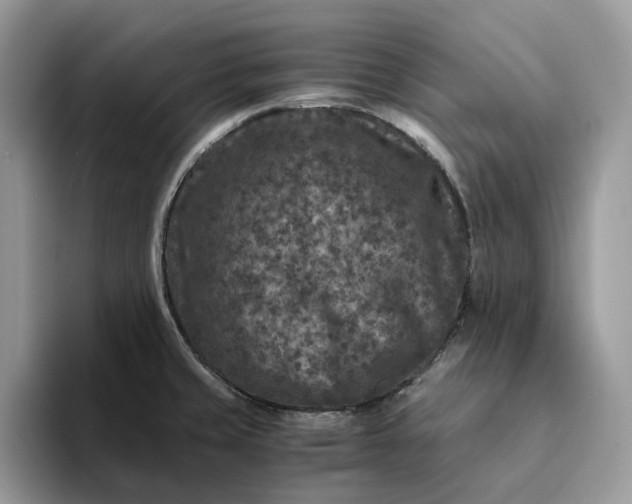 X0000094181429200711091134