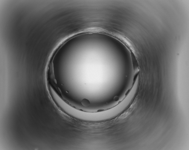 X0000094181430200711091134