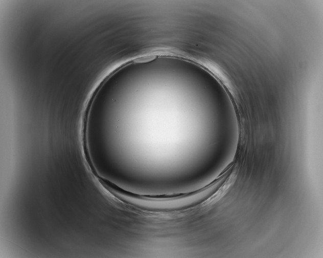 X0000094181438200711091134